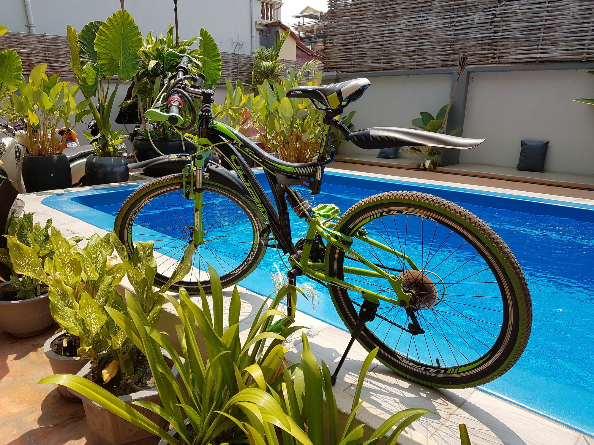 Lemongrass & Ginger Hotel Siem Reap Esterno foto